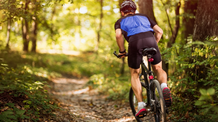 2 Bedroom Property for Sale in Nooitgedacht Village Western Cape